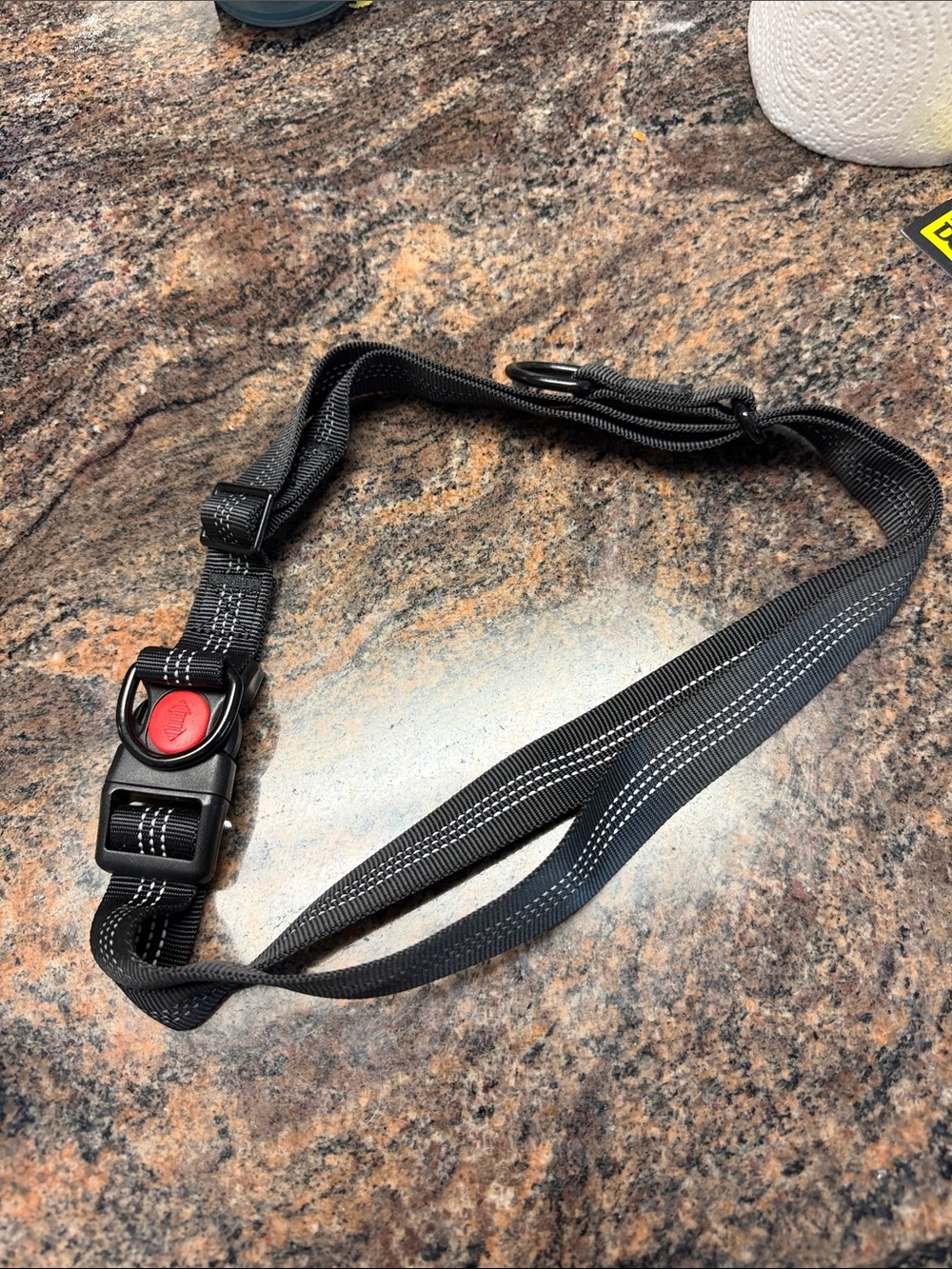 Adjustable Black Dog Collar with Quick-Release Buckle